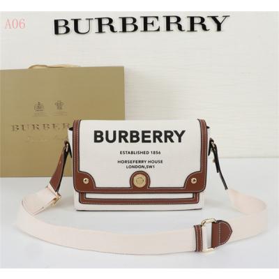 Burberry Bags AAA 020